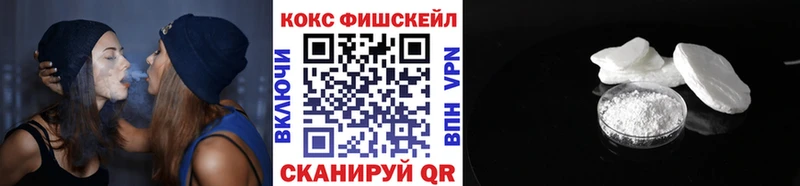 КОКАИН Fish Scale  Купить где  Снежногорск 