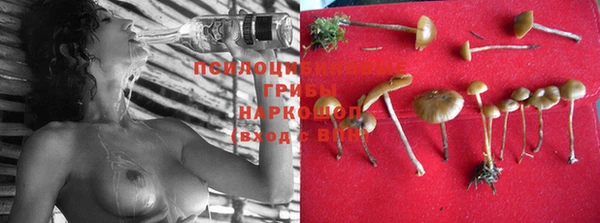 прущие крисы Усолье-Сибирское